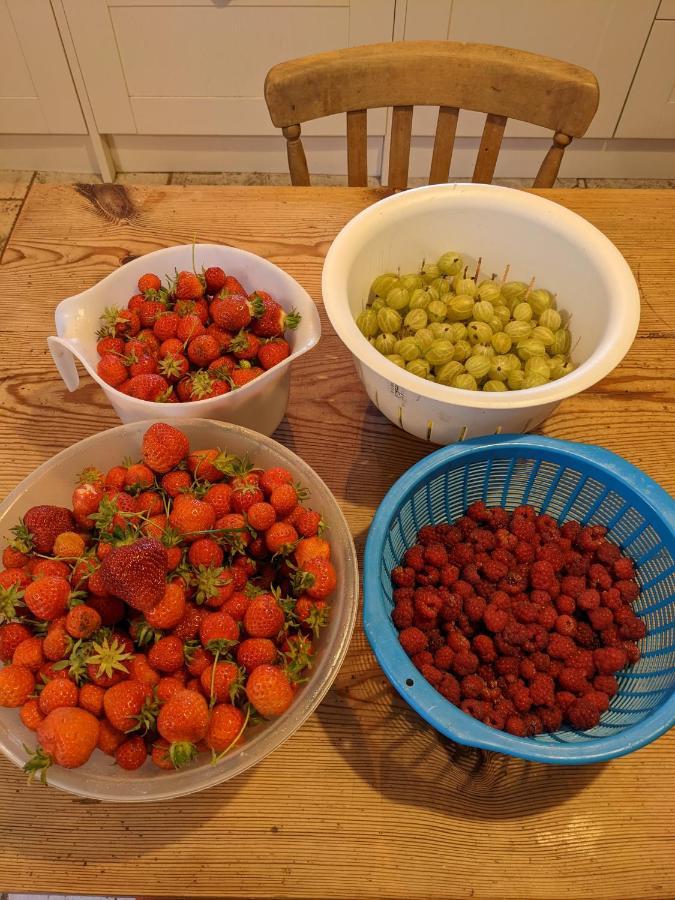 Black Isle Bed And Breakfast Avoch エクステリア 写真